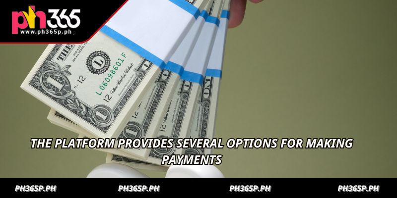The platform provides several options for making payments